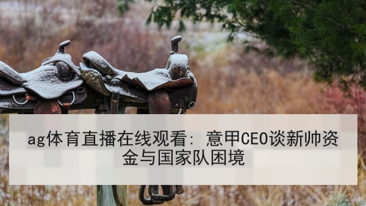 ag体育直播在线观看: 意甲CEO谈新帅资金与国家队困境 ag体育直播在线观看: 意甲CEO谈新帅资金与国家队困境