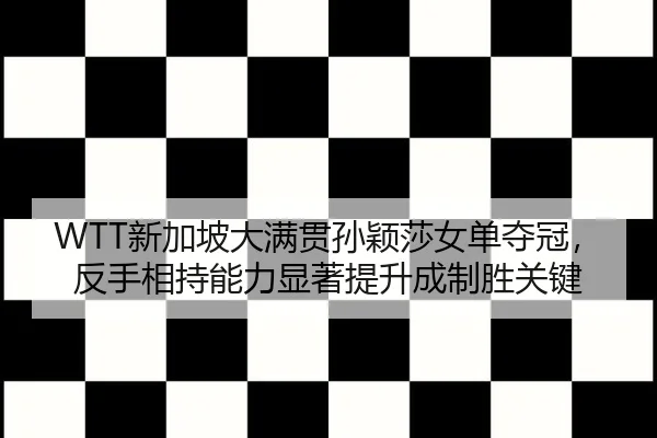 xin-jia-po-da-man-guan-sun-ying-sha-nv-dan-duo-guan-fan-shou-xiang-chi-neng-li-xian-zhu-ti-sheng-cheng-zhi-sheng-guan-3-564.jpg