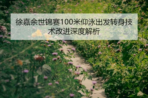 徐嘉余世锦赛100米仰泳出发转身技术改进深度解析