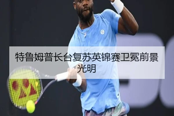 te-lu-mu-pu-zhang-tai-fu-su-ying-jin-sai-wei-mian-qian-jing-guang-ming-2-579.jpg